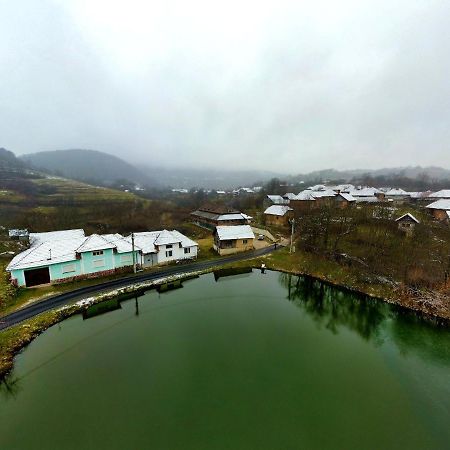 Muma Codrului Hotel Vascau ภายนอก รูปภาพ